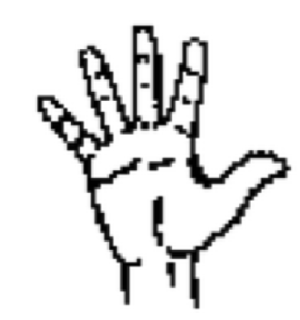 "5" handshape