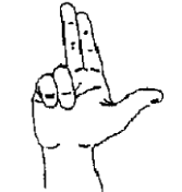 Modified base forms, handshape images adapted from Hanke (2010:1)