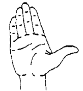 Modified base forms, handshape images adapted from Hanke (2010:1)