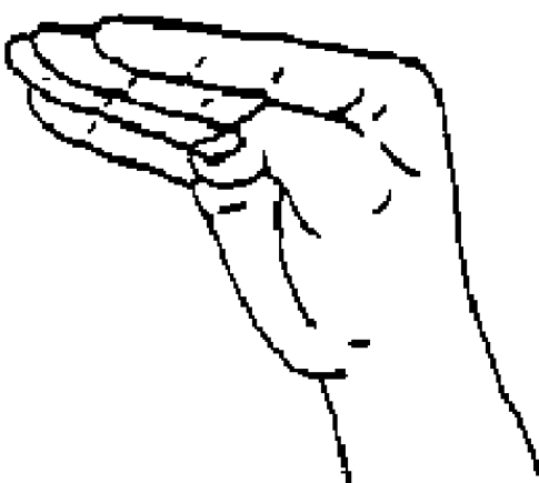 Modified base forms, handshape images adapted from Hanke (2010:1)