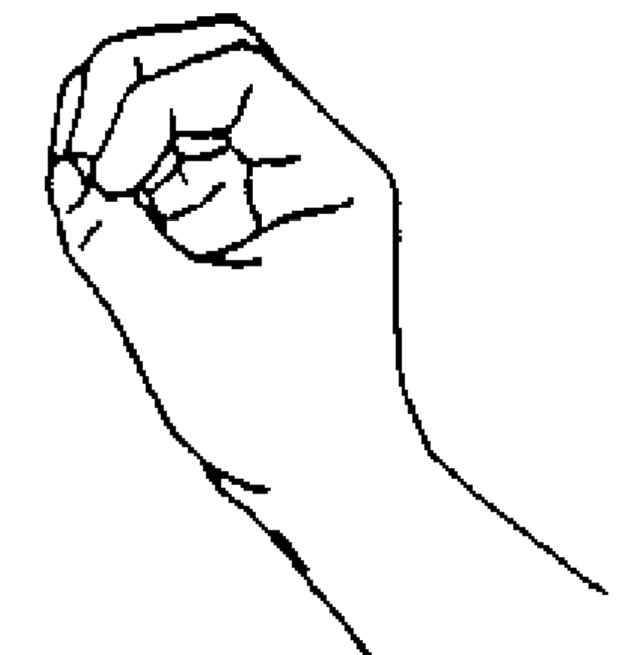 Modified base forms, handshape images adapted from Hanke (2010:1)