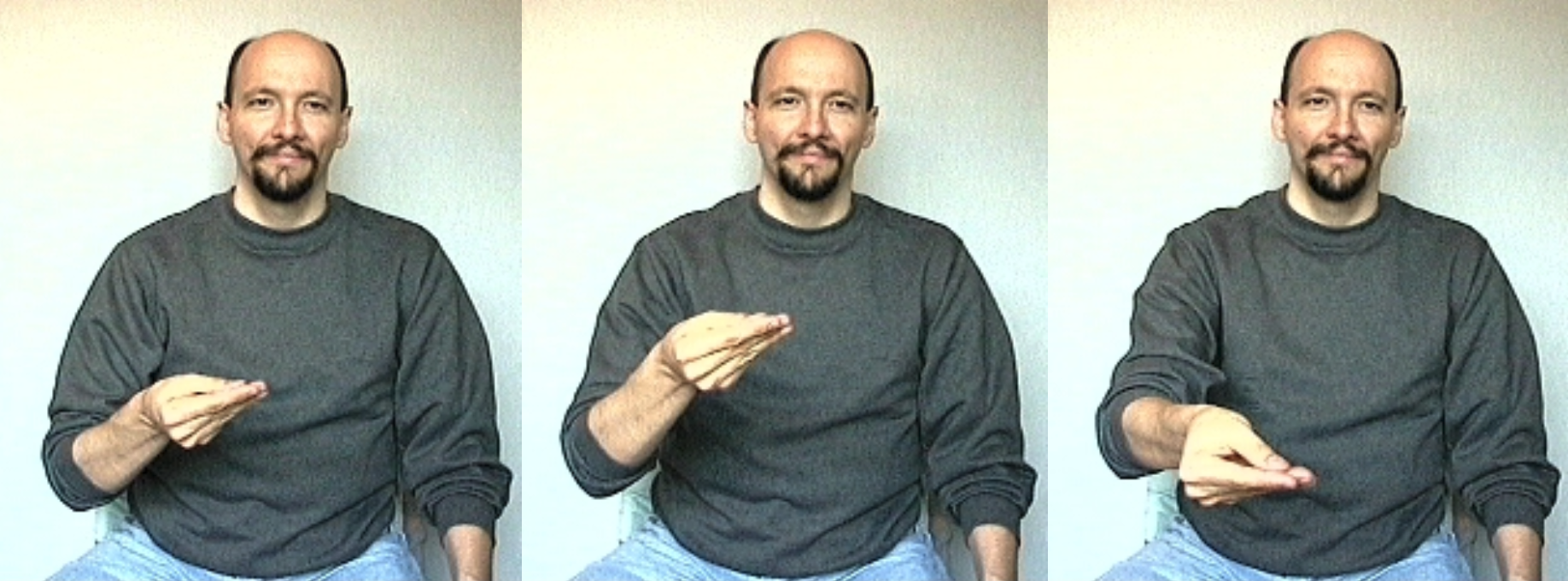 GIVE in ASL transcribed in Werberry.