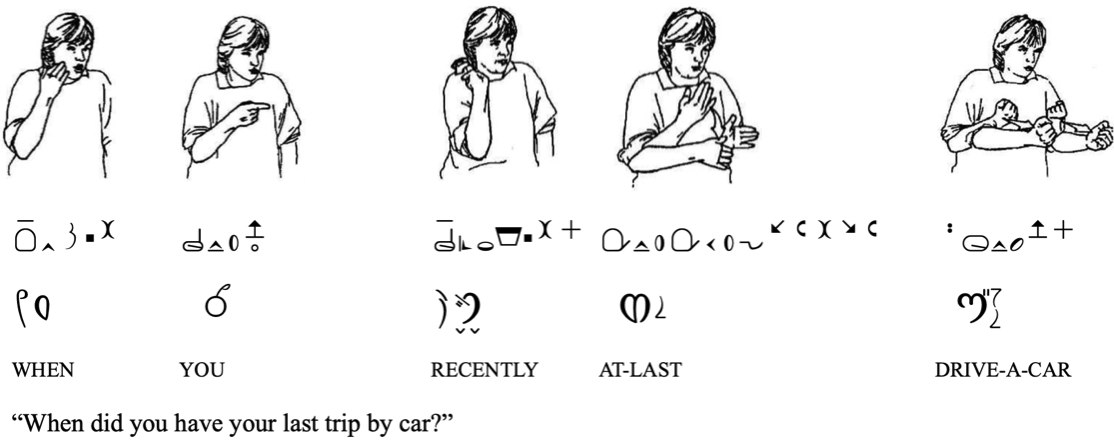 A DGS sentence on the top, transcription in HamNoSys and Werberry in the middle, glossing on the bottom, adapted from Smith (2013)