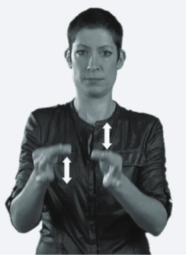 A type 1 sign (alternating) sign, JUDGE