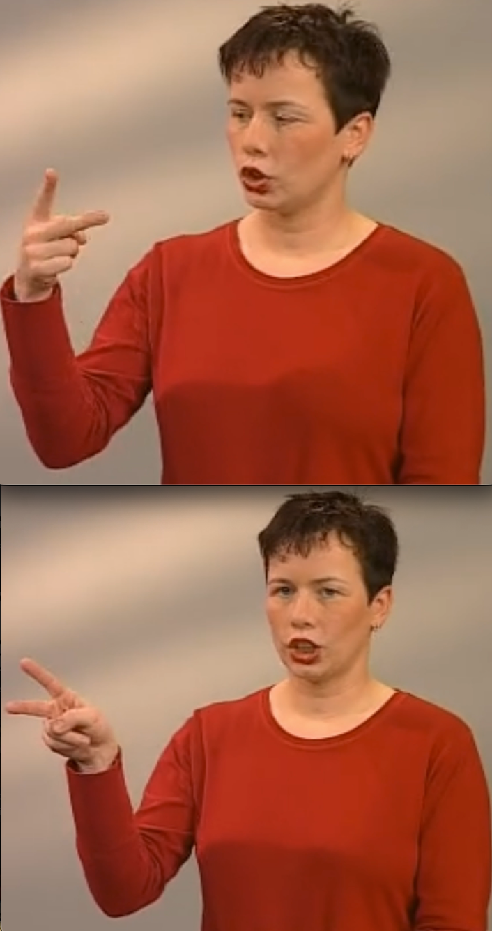 Four NGT signs and one ASL sign transcribed in Werberry