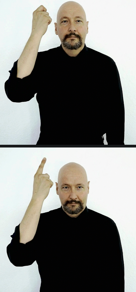 Four NGT signs and one ASL sign transcribed in Werberry